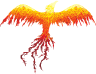 Phoenix Fighters